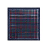 Cacharel Scarf Harlow Blue