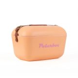 ⁦Polarbox צידנית בעיצוב רטרו וינטג' 12L⁩ – תמונה ⁦13⁩