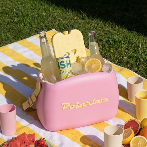 צידנית POLARBOX - גודל 6L צידנית POLARBOX - גודל 6L – תמונה 1